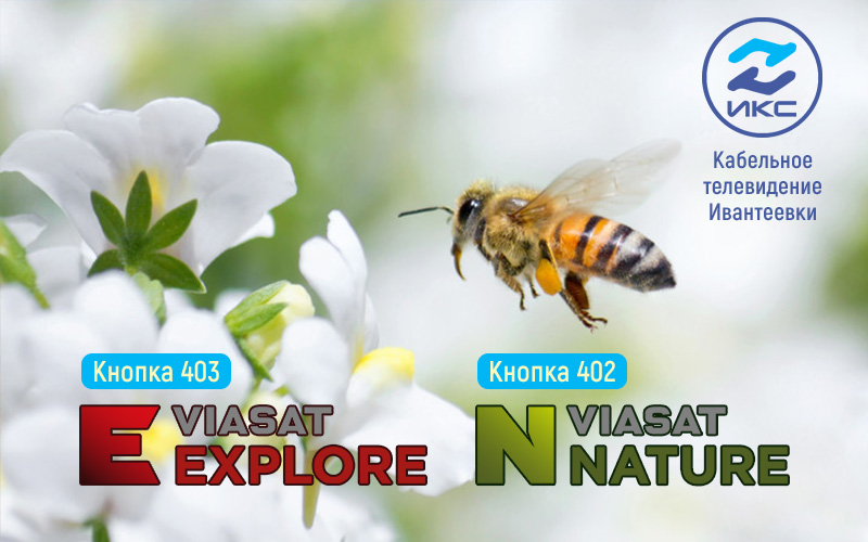 Каналы Viasat Nature Explore