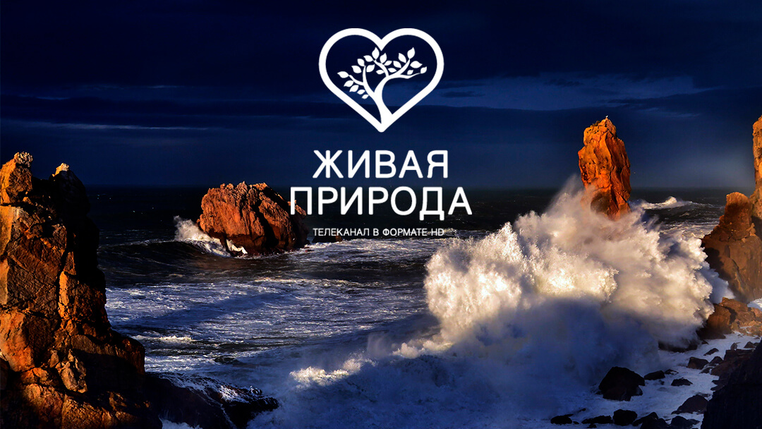 Живая природа телеканал